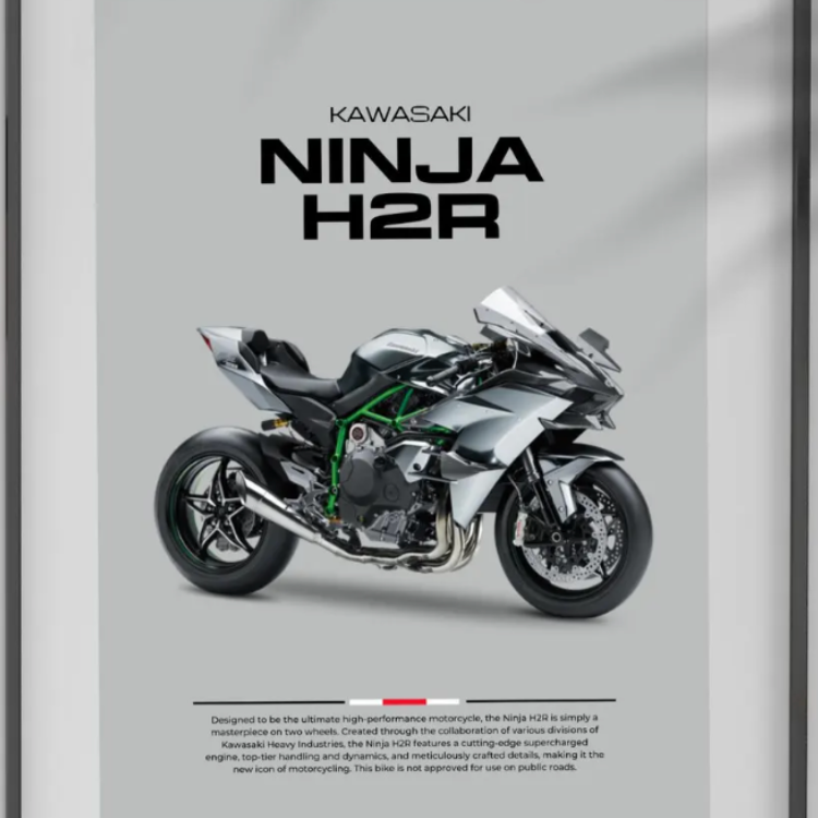 Ninja H2R Poster (PDF)