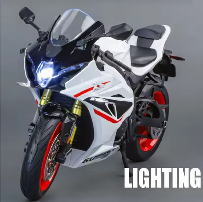 1:9 GSX-1000R