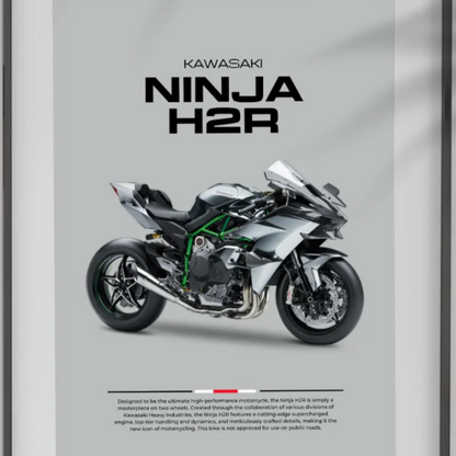Ninja H2R Poster (PDF)