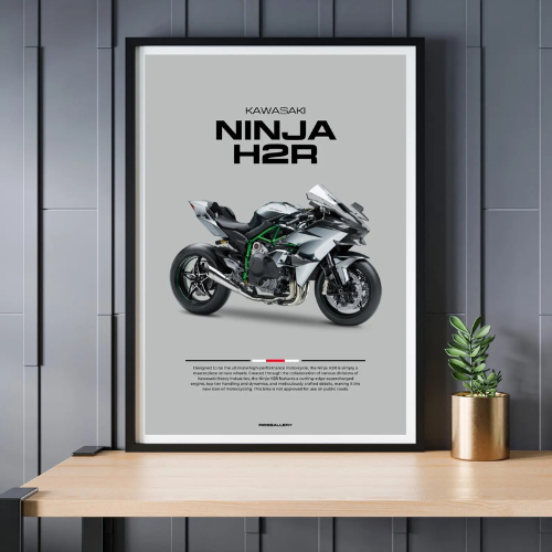 Ninja H2R Poster (PDF)